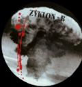 Zyklon-B - Blood Must Be Shed (Vinyl Collectors, 2000 Reissue - 33 1/3 RPM) (Imp/Picture Vinil)