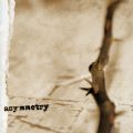 Asymmetry - Various (Total Rust Compilation = 10 Songs, Israel/Feat. Lux Incerta, The Knell, Mar De Grises) (Imp)