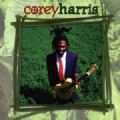 Corey Harris - Green From The Garden (Abril Music, 1999 - HDCD) (Nac)