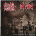 Chemical Disaster/In Pain - Pain Of Chemical Suffering (13 Songs Split CD) (Nac)