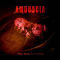 Amduscia - From Abuse To Apostasy (Imp)